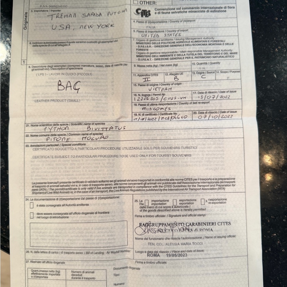 Dior Beige And Gold Python Pattern Bag - image 4